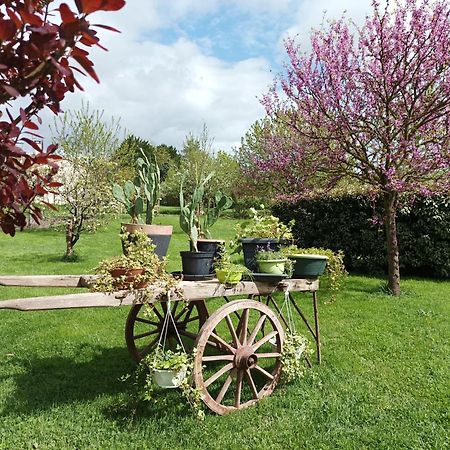 Saint-Hilaire-la-PaludLe Logis De Lange Apt Les Aigrettes公寓 外观 照片