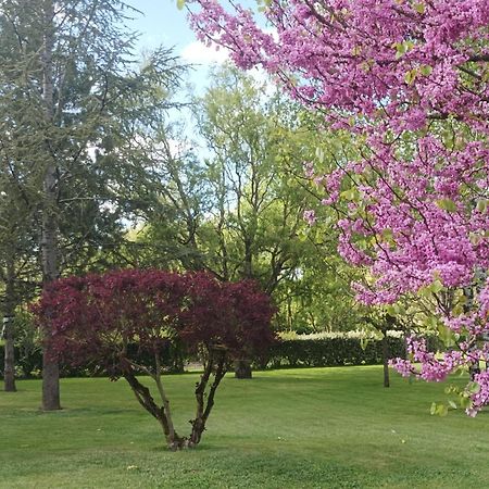 Le Logis De Lange Apt Les Aigrettes Saint-Hilaire-la-Palud 外观 照片