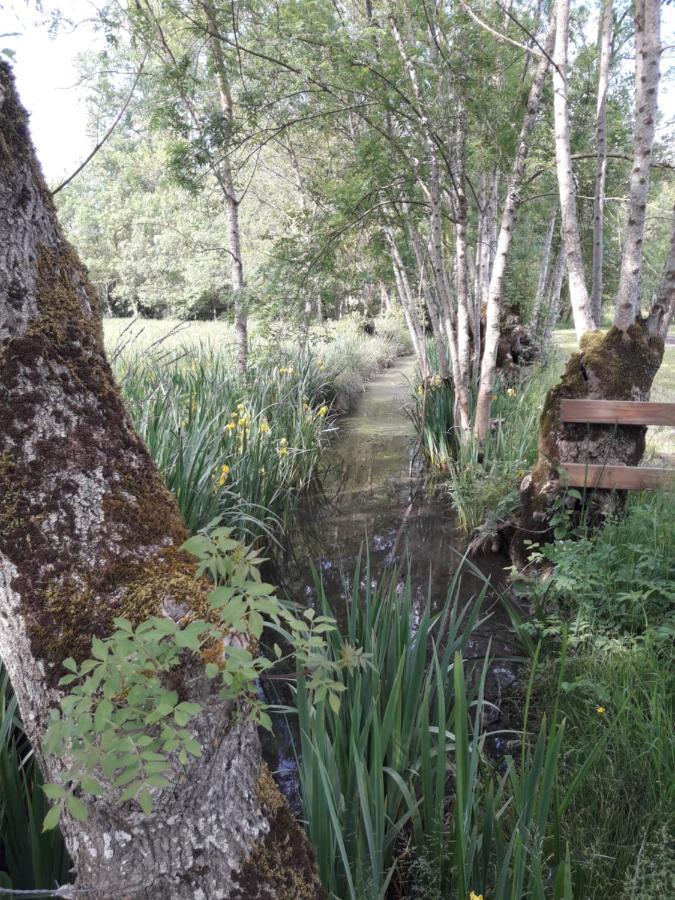 Le Logis De Lange Apt Les Aigrettes Saint-Hilaire-la-Palud 外观 照片