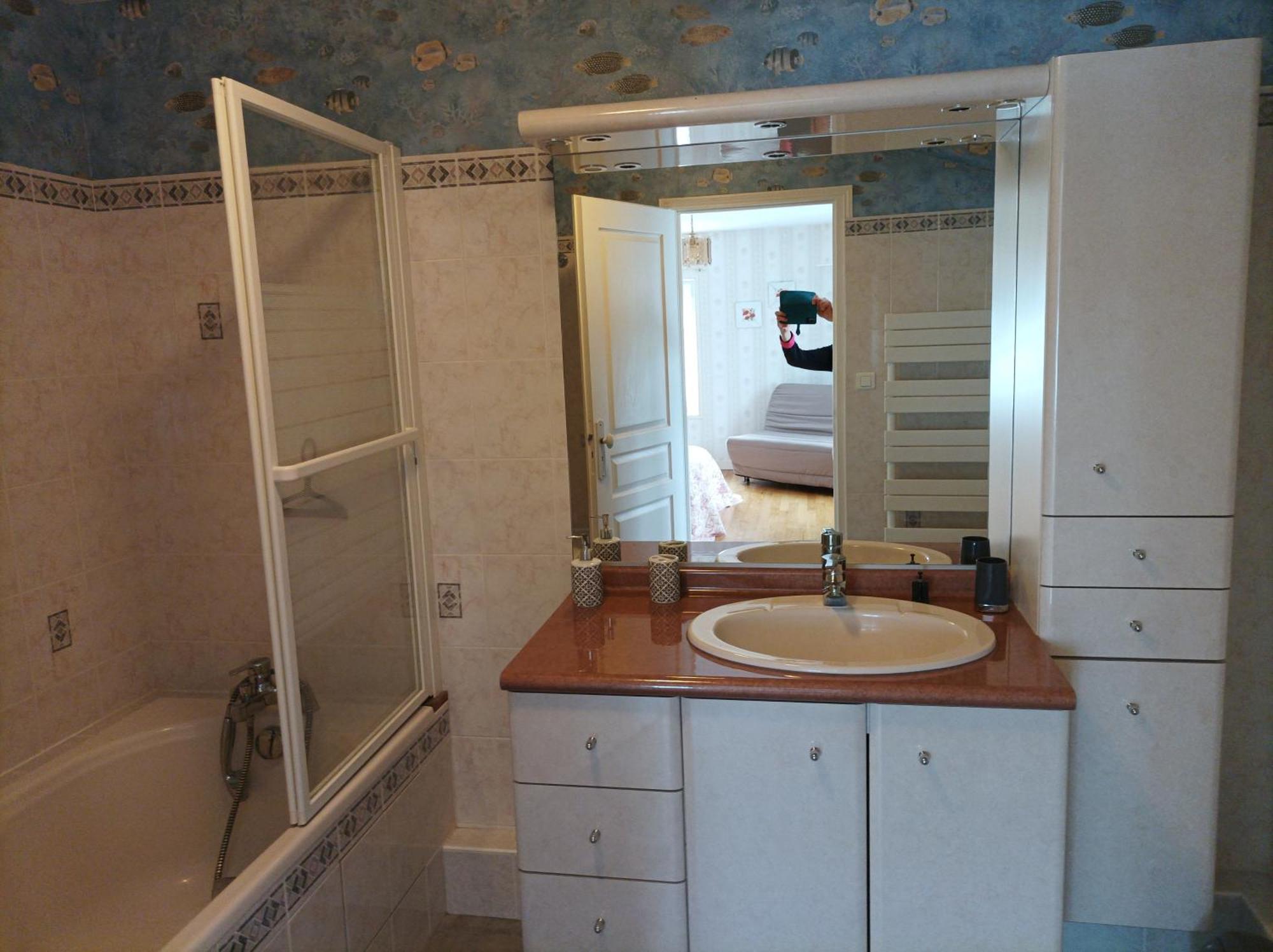 Le Logis De Lange Apt Les Aigrettes Saint-Hilaire-la-Palud 外观 照片