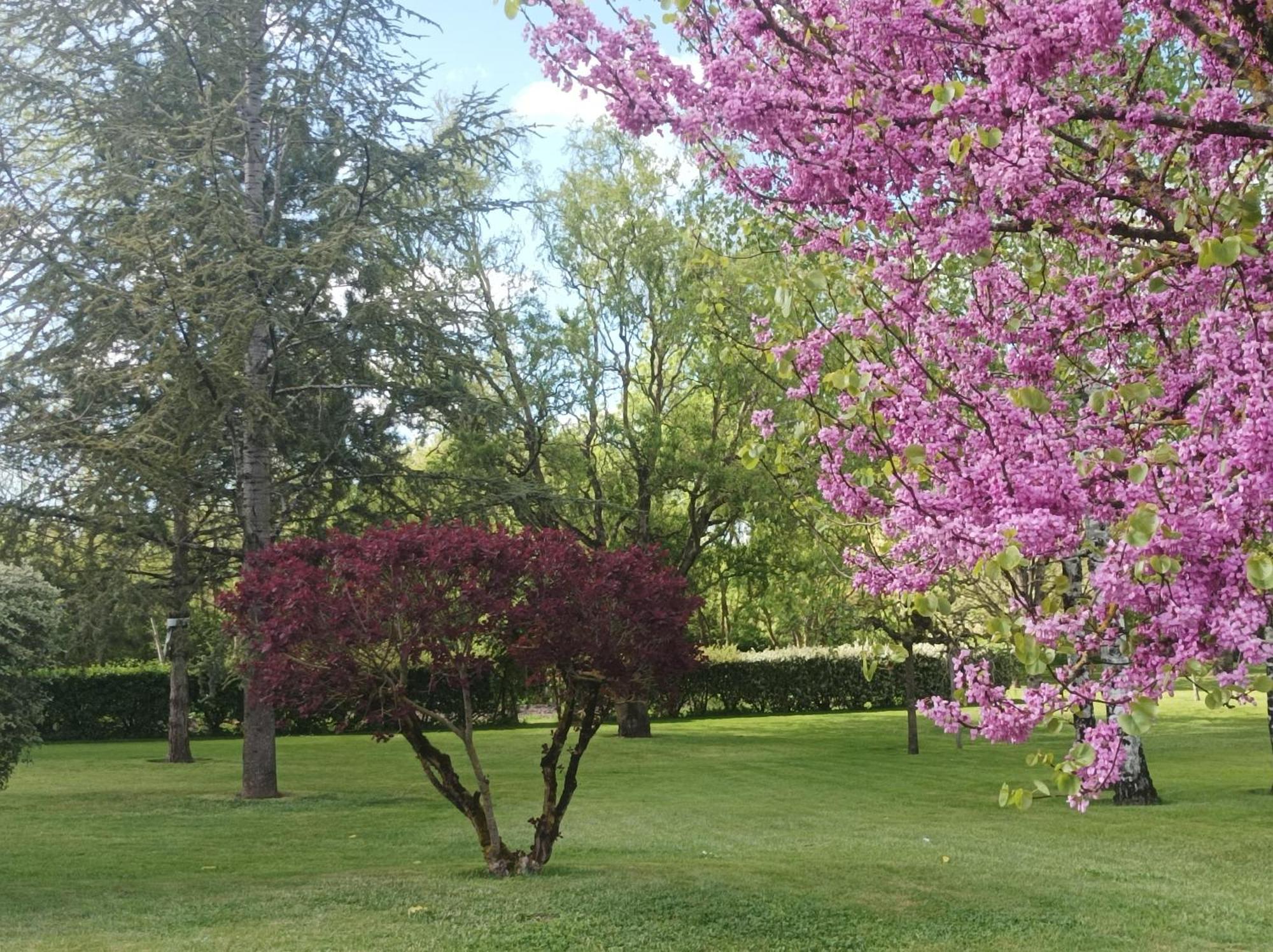 Le Logis De Lange Apt Les Aigrettes Saint-Hilaire-la-Palud 外观 照片