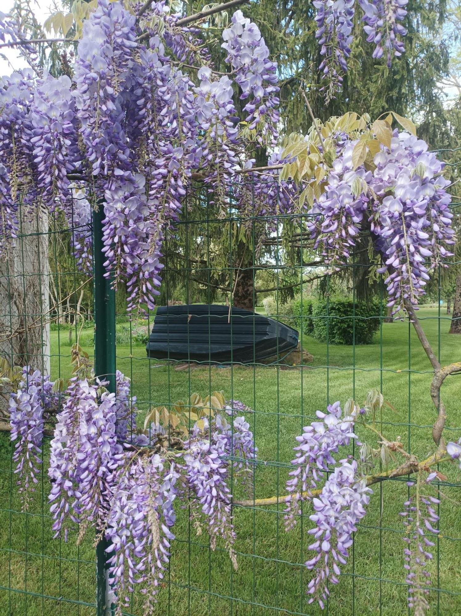 Le Logis De Lange Apt Les Aigrettes Saint-Hilaire-la-Palud 外观 照片